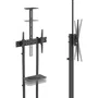 Aisens Soporte de Suelo Eco con Ruedas FT70TE-335 para TV 37-70 pulgadas